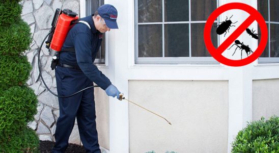 Sungurlu Karınca İlaçlama böcek ilaçlama ve haşere kontrolü — ilaclama-tr.com